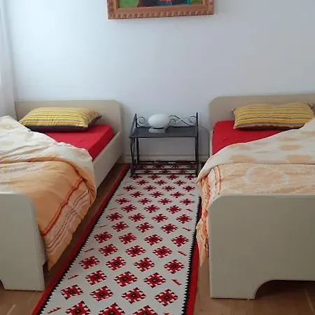 招待所 Turisalba *